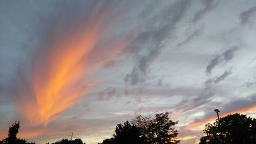 Low angle view of silhouette trees against dramatic sky