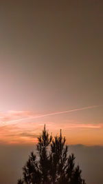 Silhouette trees against sky at sunset