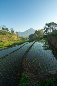 Scenic view of mountains against clear blue sky