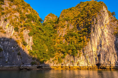 Scenic view of trees and rocks against sky