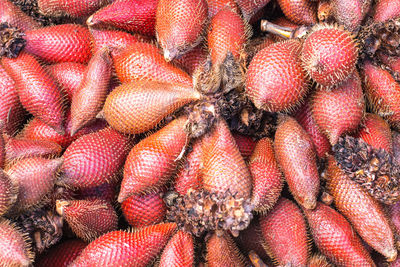 Full frame shot of snake fruits