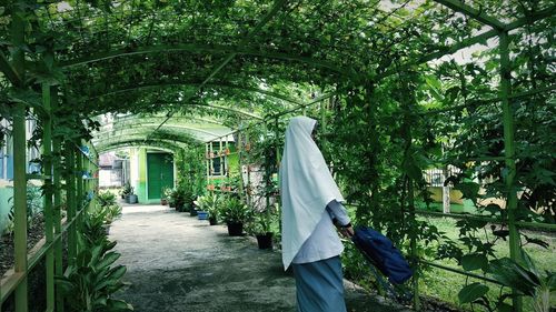 Rear view of woman walking on footpath amidst trees