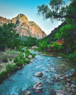 Scenic view of river amidst rocks and trees against sky