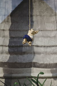 Easter bunny hanging from rope against wall