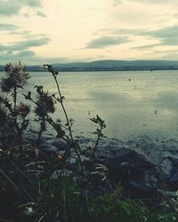 Scenic view of sea against cloudy sky