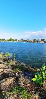 Scenic view of lake against blue sky