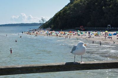 People at beach