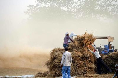 People working at farm against sky