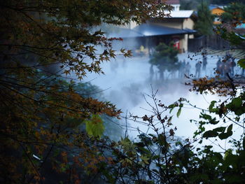 Trees against sky during autumn