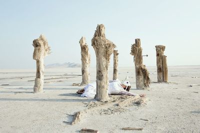 View of wooden posts on beach against sky