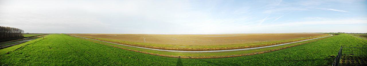 Scenic view of agricultural field against sky