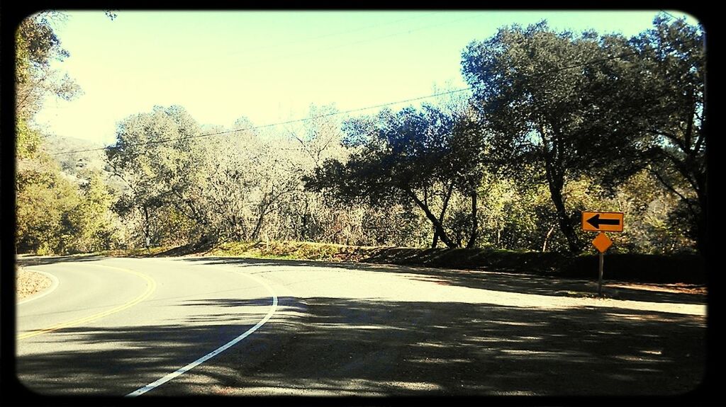 VIEW OF COUNTRY ROAD