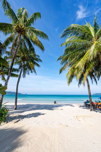 Palm trees on beach against sky