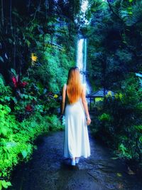 Rear view of woman standing in park