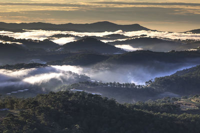 Scenic view of forest against sky during sunset