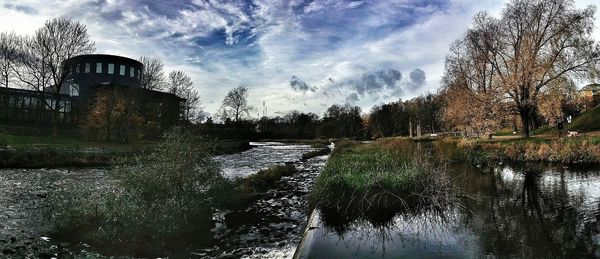 Reflection of trees in river