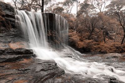 Scenic view of waterfall in forest