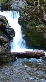 Scenic view of waterfall in forest