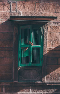 Cat on brick wall