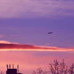 Low angle view of silhouette airplane flying against sky