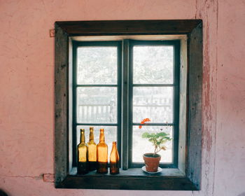 Bottles and potted plant on window sill