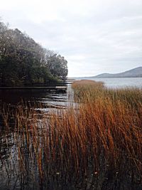 Scenic view of lake against sky