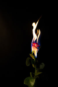 Close-up of burning candle against black background