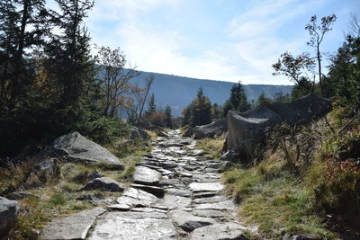 Footpath amidst rocks and trees against sky