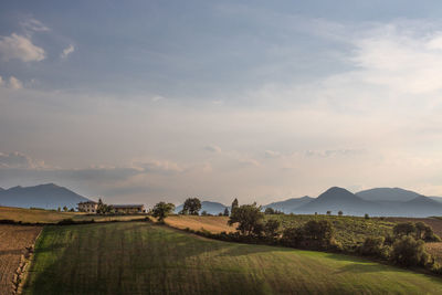 Scenic view of field against sky during sunset