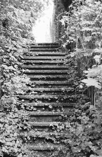 View of railroad tracks