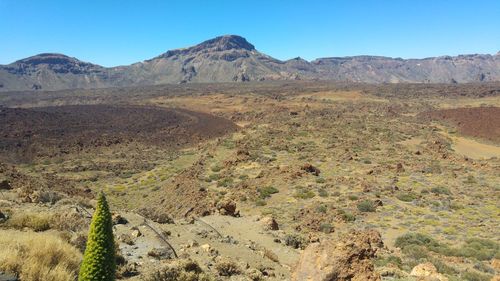 Scenic view of desert against clear sky