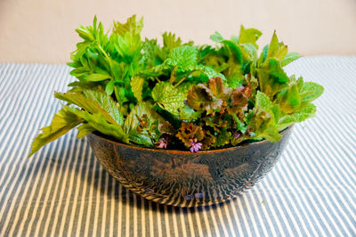 Close-up of various herbs in bowl on table