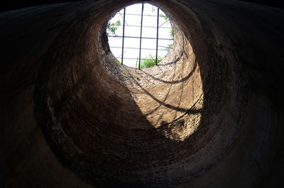 Close-up of tree window