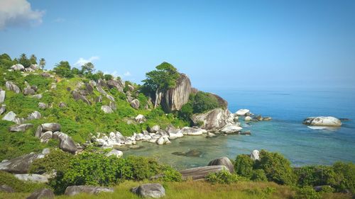 Scenic view of sea against clear blue sky