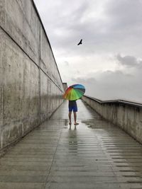 Full length rear view of man flying bird against sky