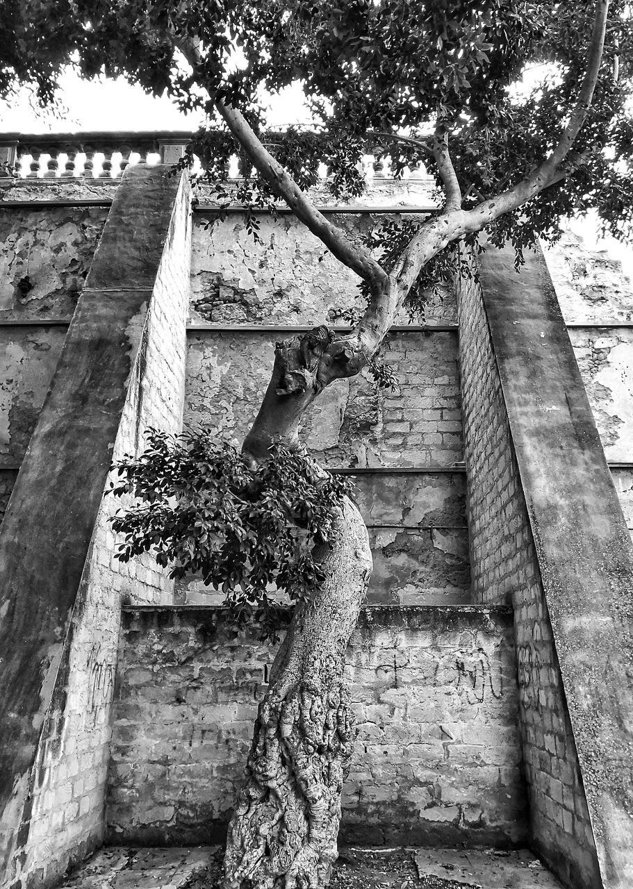 LOW ANGLE VIEW OF AN ABANDONED BUILT STRUCTURE AGAINST TREES