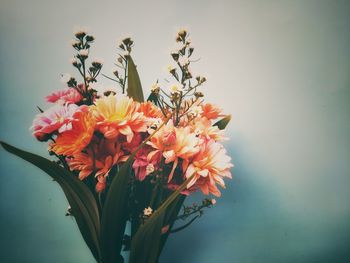 Close-up of flowering plant against wall