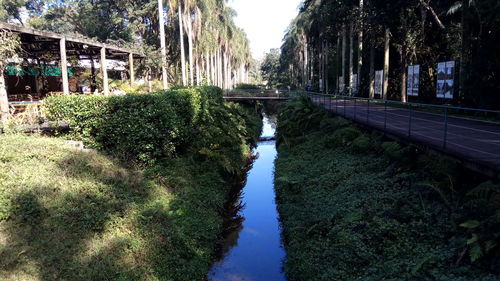 Scenic view of trees by plants