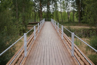 Boardwalk leading towards trees