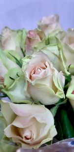 Close-up of rose bouquet