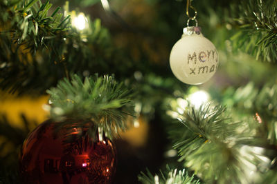 Close-up of christmas decorations hanging on tree