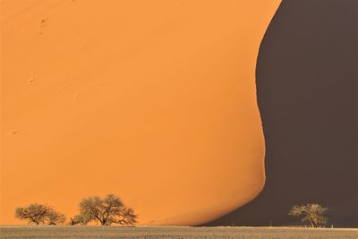 Scenic view of silhouette trees against orange sky