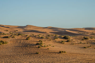 Scenic view of desert against clear sky