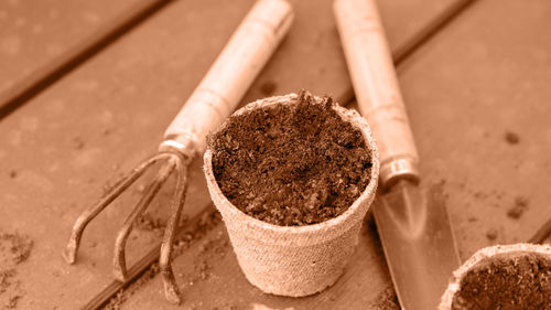 High angle view of potted plant