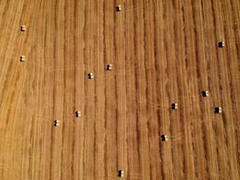 Aerial view of hay bales on agricultural field