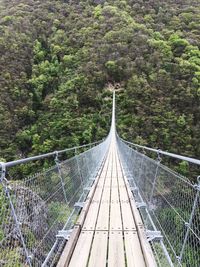 Footbridge amidst trees in forest