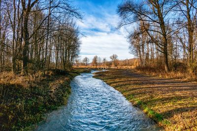 Scenic view of river amidst trees against sky