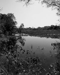 Scenic view of lake against clear sky