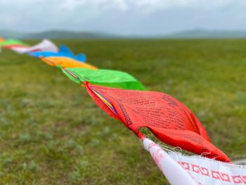 Close-up of multi colored flag on field