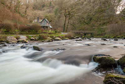 Stream flowing through rocks in forest